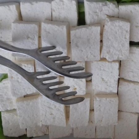 Garni Hotel Crystal Ice Ni 외부 사진